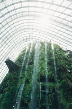 In addition to the Supertrees, within Gardens by the Bay are two paid conservatories called the Flower Dome and Cloud Forest.