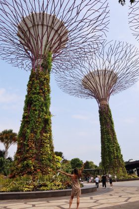 Other than Gardens by the Bay, the Botanical Garden, Singapore is a great place to simply enjoy nature. Visiting the Botanical Garden is totally free and easily accessible by public transport.