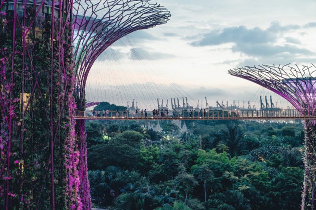 The Flower Dome is actually the world's largest columnless glasshouse, and Cloud Forest houses the world's second tallest indoor waterfall (the tallest is also in Singapore). These conservatories are air-conditioned and contain flowers and trees from all over the world. The Flower Dome changes its theme depending on the season or holiday, so even if you live in Singapore, there's always something inspiring to see!