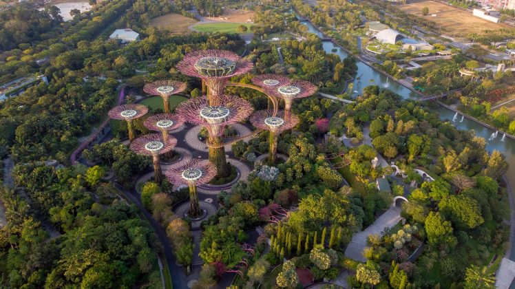 Behind the Marina Bay Sands is Gardens by the Bay. It is a huge 270-acre garden that contains the popular Supertree Grove.