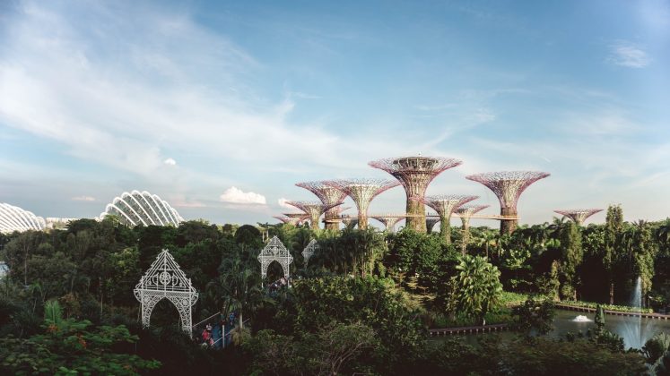 They light up every night and put on a coordinated light and music show called the Garden Rhapsody. Most importantly, visiting the garden and watching the show is totally free, so it makes for a great family trip!