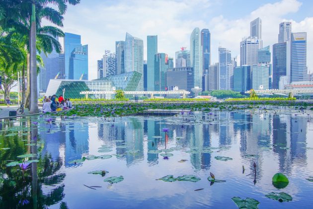 But, if walking isn't your thing, you can take a river cruise to enjoy the scenery from the water or go on a bus tour.