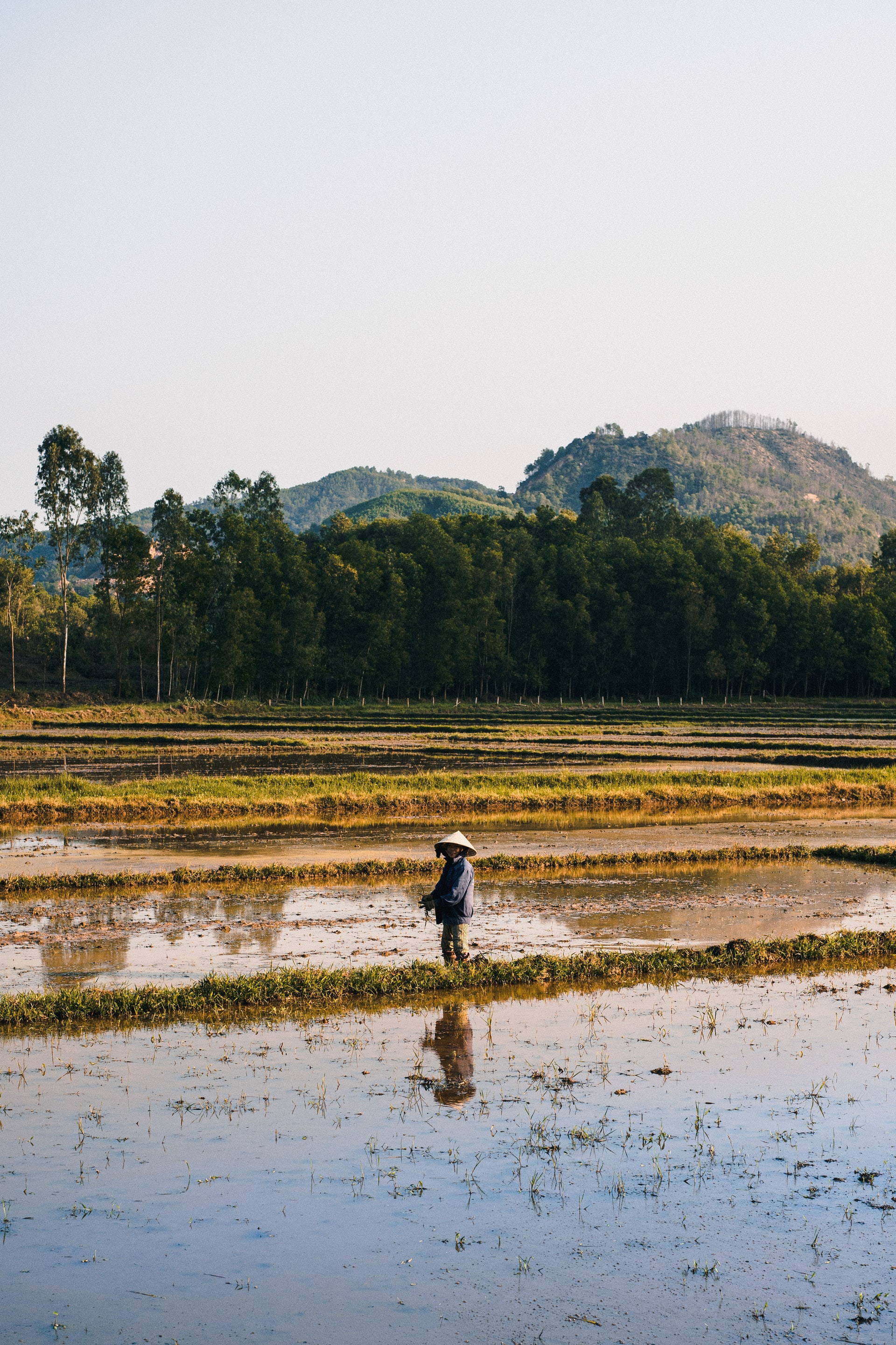 Whenever you see pictures of Vietnam, you’re sure to see the stunning rice fields that exist all over the country. Hoi An is no exception, and you can actually cycle through many of the rice fields in the countryside.