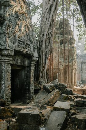 They featured Ta Prohm in the film because of the gorgeous backdrop it provides.
