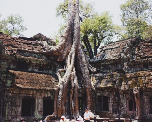 Visit and pretend your Lara Croft climbing your way through the tree&rsquo;s limbs and ruins.