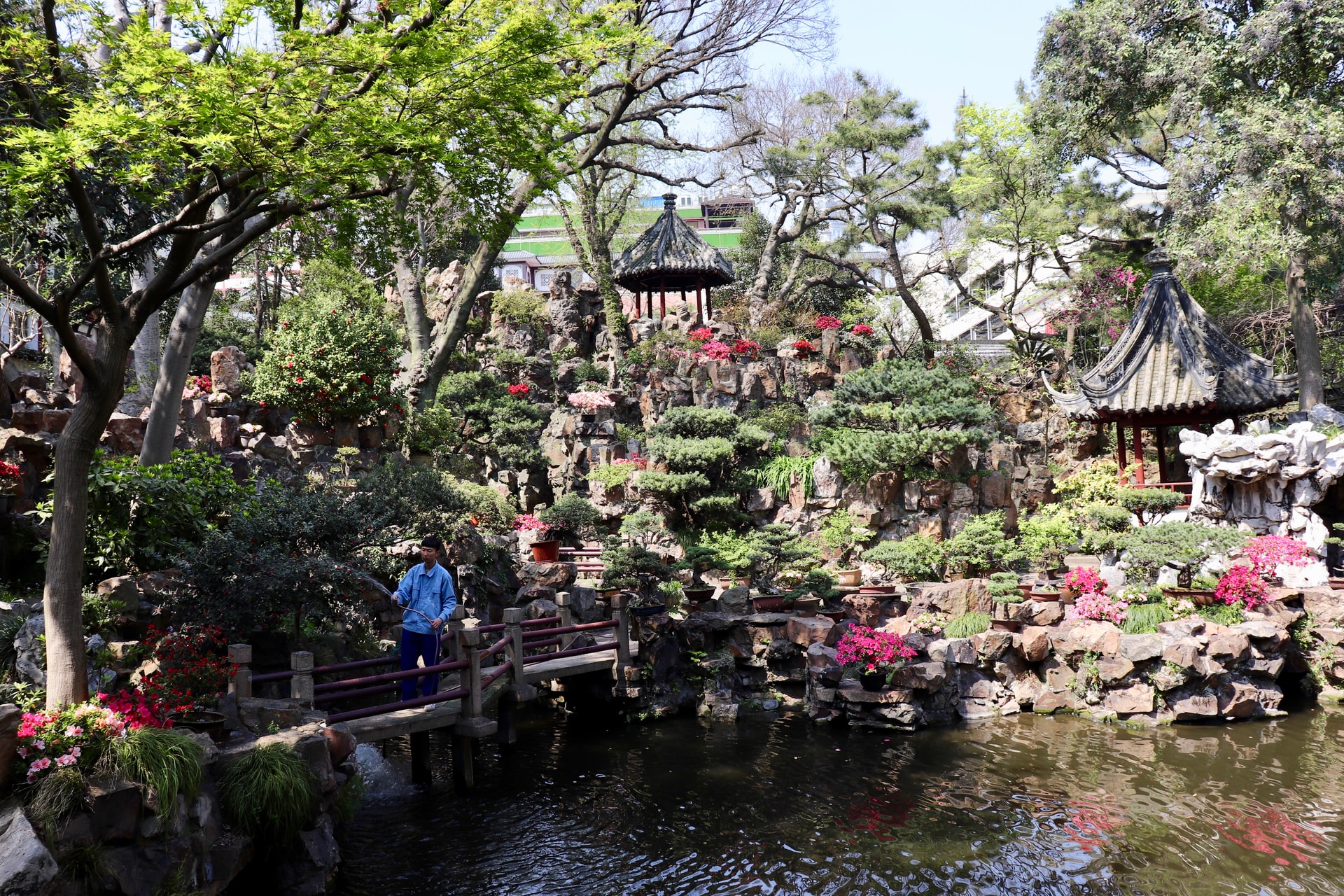 There are still some ‘’green spaces’’ in Shanghai despite its huge population. Yuyuan or Yu Garden is one of the most important. The ‘’Garden of Happiness’’ is to the northeast of the Old City and dates back to the middle of the 15th Century. Include in your Shanghai travel the centrepiece, a lovely 5-ton jade rock among your Shanghai pictures. It was retrieved from the River after its transport ship sank