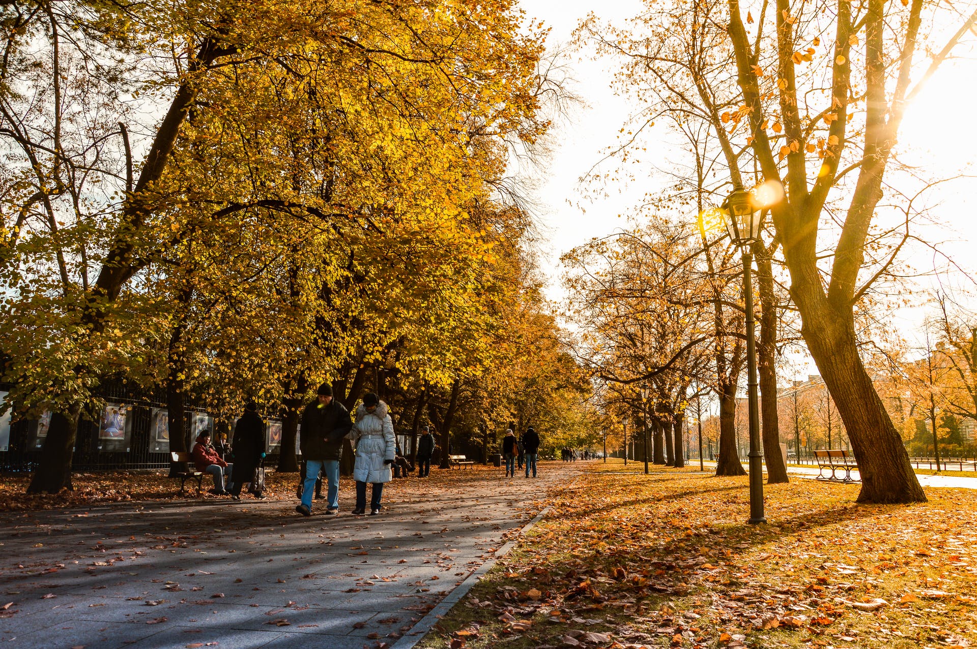 The Warsaw Zoo is worth a visit. It sits on the banks of the Vistula River in the middle of Warsaw. In total, it covers 99 acres and with over a million visitors annually, it is amongst the busiest in Europe.